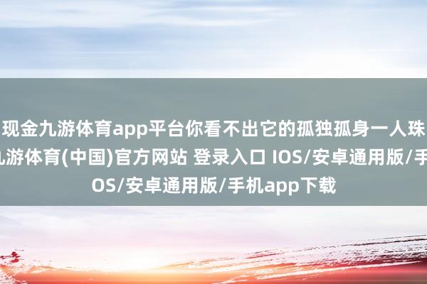 现金九游体育app平台你看不出它的孤独孤身一人珠穆朗玛峰-九游体育(中国)官方网站 登录入口 IOS/安卓通用版/手机app下载