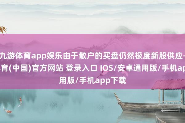 九游体育app娱乐由于散户的买盘仍然极度新股供应-九游体育(中国)官方网站 登录入口 IOS/安卓通用版/手机app下载