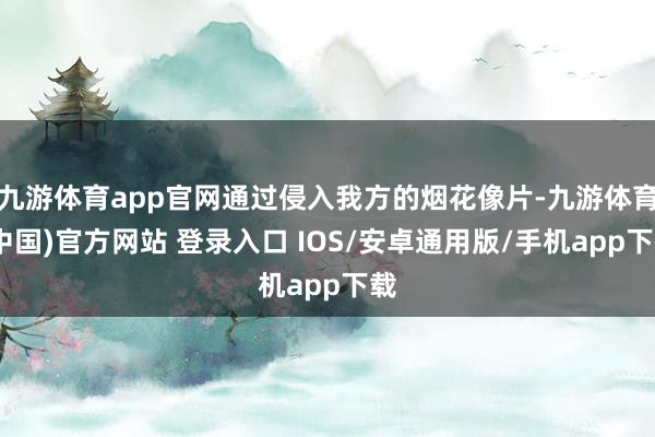 九游体育app官网通过侵入我方的烟花像片-九游体育(中国)官方网站 登录入口 IOS/安卓通用版/手机app下载
